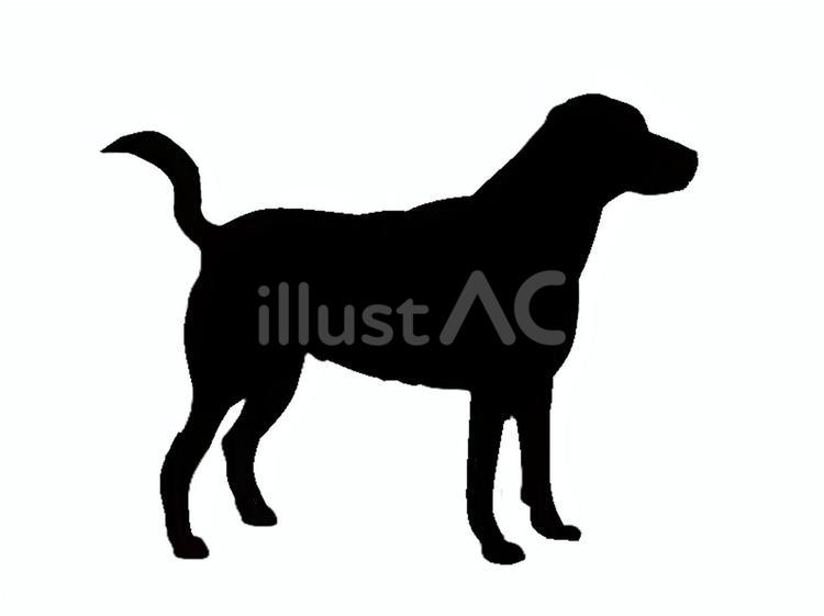 犬。。 犬,シルエット,動物のイラスト素材