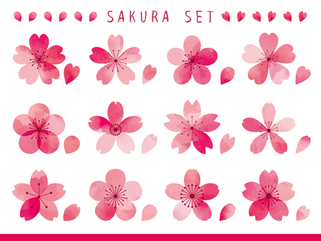 Illustration, spring, set, cherry blossoms, 
