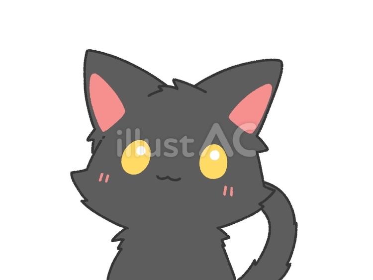 見つめる黒猫 見つめる,仔猫,猫のイラスト素材