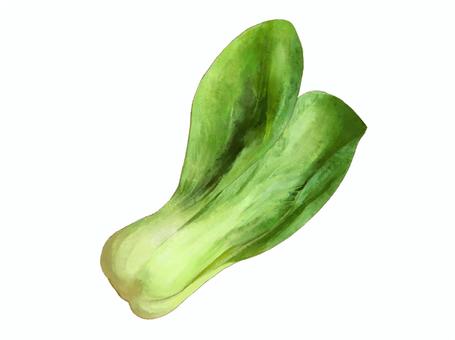 Illustration, ち ん げ dish, vegetables, a greengrocer, 