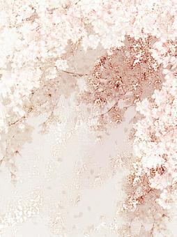 Material 14 Row of cherry trees, cherry blossoms, flower, plant, JPG and PNG