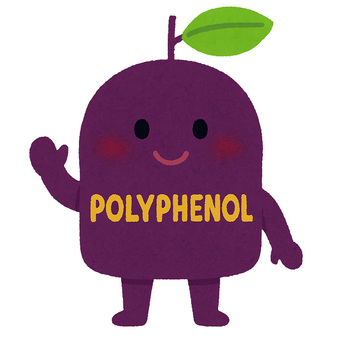ポリフェノール ポリフェノール,抗酸化作用,動脈硬化,生活習慣病,水溶性のイラスト素材