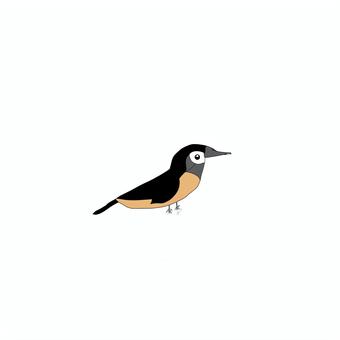 小さい鳥 小さい,鳥,小鳥,スズメ,かわいいのイラスト素材