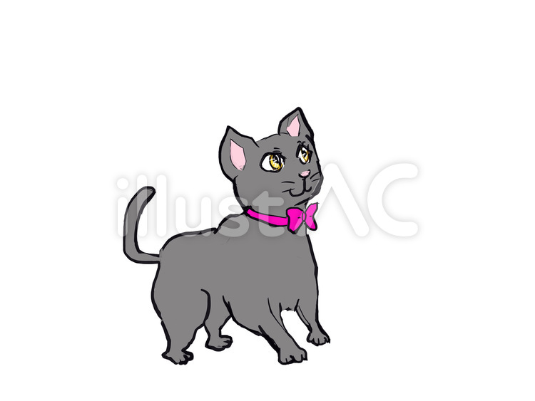 黒猫 猫,子猫,ペットのイラスト素材