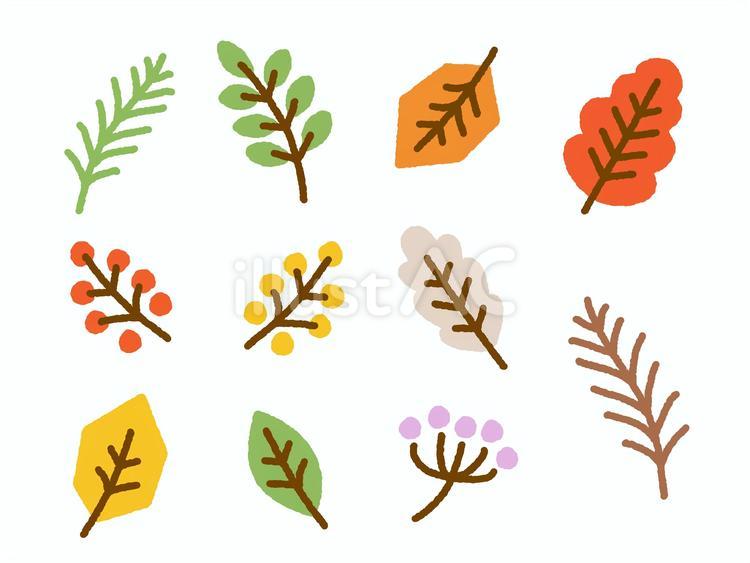 秋イメージ／木の実と植物イラストセット 秋,葉っぱ,アイコンのイラスト素材