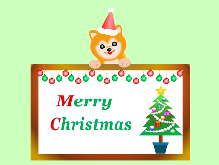 メリークリスマス・豆柴とツリーのフレーム メリークリスマス・豆柴とツリーのフレーム クリスマスツリー,柴犬,フレーム,オーナメント,帽子,子犬,背景,壁紙,冬のイラスト素材