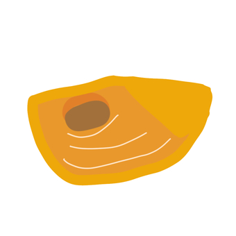 柿（断面4分の1） 柿,果物,秋,冬,食べ物,カット,種,断面,切り口,カットフルーツのイラスト素材