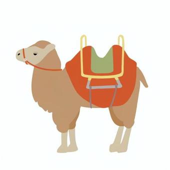 ラクダ 小学校,中学校,高校,教材,授業,社会,ラクダ,動物,哺乳類,砂漠のイラスト素材