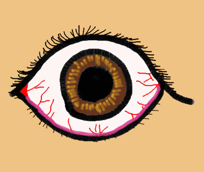 目力強めの目玉 目,怖い,手描き,見る,血管のイラスト素材