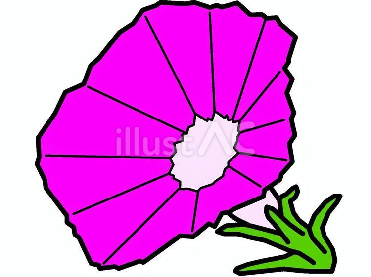 紫色のアサガオのアイコン アサガオ,花,植物のイラスト素材
