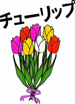 チューリップ花束 チューリップ,花束,植物,策,きれい,かわいい,カラフル,カタカナ,線画のイラスト素材