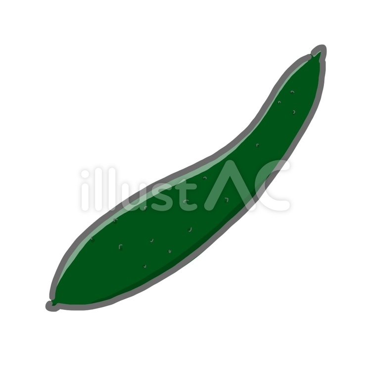 きゅうり きゅうり,野菜,夏のイラスト素材