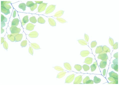Fresh green frame, JPG and AI Fresh green frame, background, summer, fresh green, JPG and AI