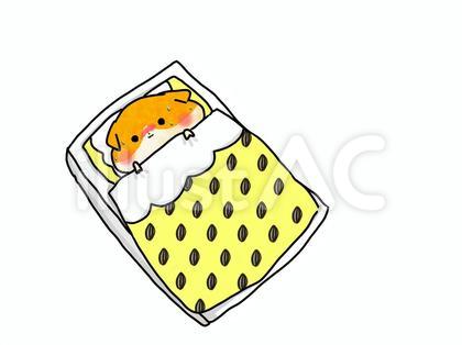 発熱で療養中のハムスター