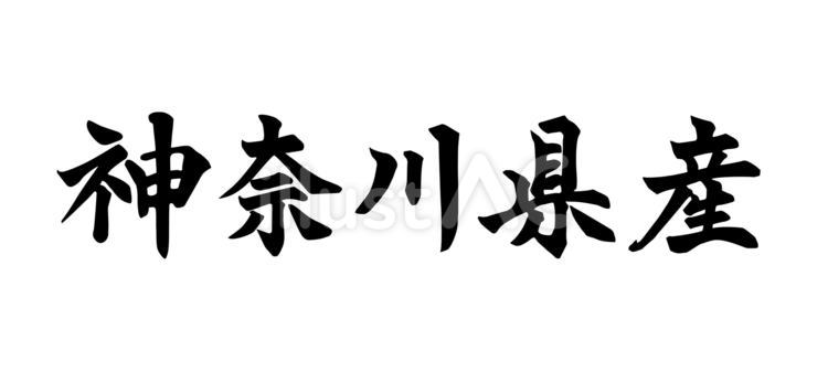 神奈川県産_筆文字 神奈川,県産,筆文字のイラスト素材