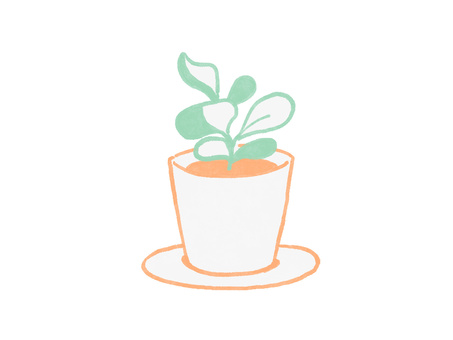 観葉植物 観葉植物,植物,グリーン,インテリア,観賞用,自然,リビング,癒し,デザイン,シンプルのイラスト素材