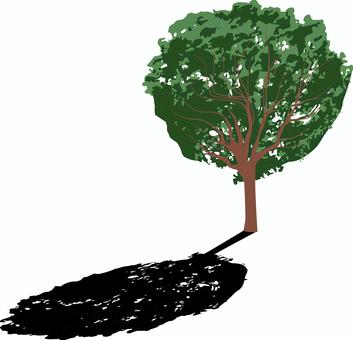 木陰　 木陰,逆光,樹木,広葉樹,生える,植栽,枝,葉,自然,リアルのイラスト素材