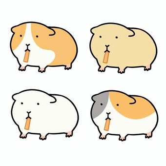 モルモット（食事/ニンジン） モルモット,ごはん,食事,エサ,餌,にんじん,ニンジン,ゆるい,可愛い,シンプルのイラスト素材