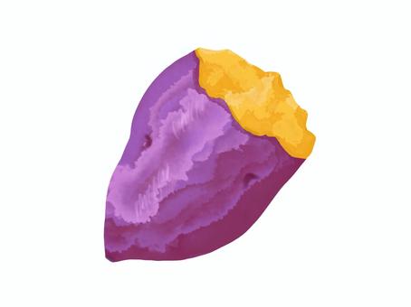 水彩画のさつまいもの断面 水彩画,さつまいも,断面,焼き芋,手書き,ワンポイント,おしゃれ,ホクホク,紅芋,紫芋のイラスト素材