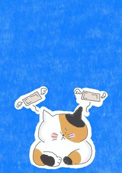 お金がなくなる三毛猫ちゃん お金がなくなる三毛猫ちゃん かわいい,お金,マネー,失う,金欠,支出,出ていく,飛ぶ,お札,困るのイラスト素材