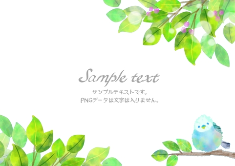 Illustration, 新鮮翠綠, 美麗, 水彩, 