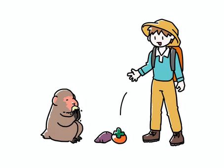猿に餌付けする人 人,登山客,男性,レジャー,猿,餌付け,食べる,無謀,柿,芋のイラスト素材