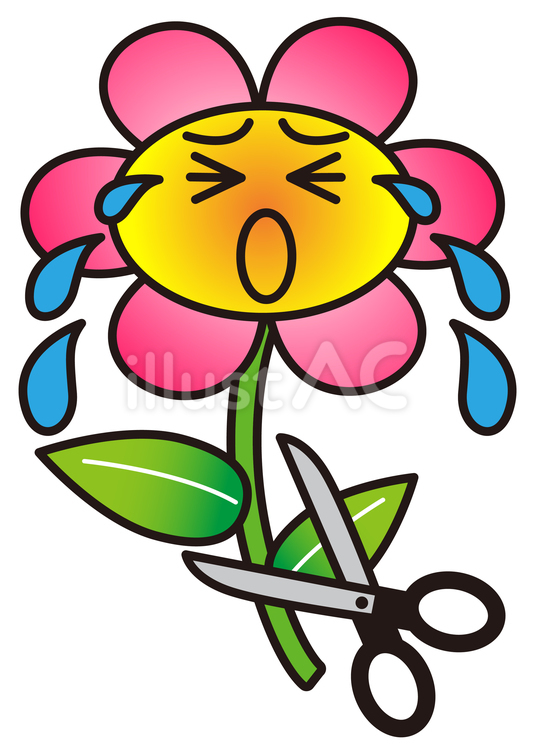 花の茎を切ろうとするハサミ_黒フチあり 花,切る,ハサミのイラスト素材