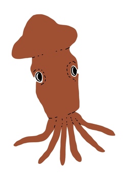 squid, squid, one point, hand drawn, JPG and PNG