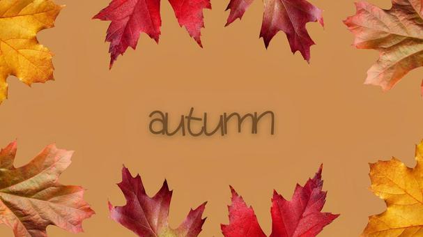 autumn 秋,autumn,fall,秋色,季節,茶色,背景,アイキャッチ,サムネイルのイラスト素材