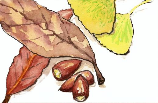 森は秋一色（絵手紙） どんぐり,落ち葉,枯葉,イチョウ,秋,森,地面のイラスト素材