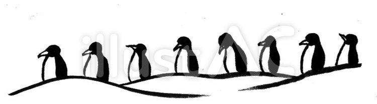 境界線～ペンギン 境界線,ペンギン,動物のイラスト素材