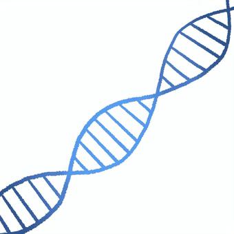 遺伝子 遺伝子,二重螺旋,dna,遺伝,生物学,シンプルのイラスト素材
