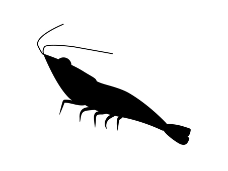 えび_海の生き物シルエット えび,海老,甲殻類,魚,魚釣り,食べ物,料理,海,生き物,生物のイラスト素材