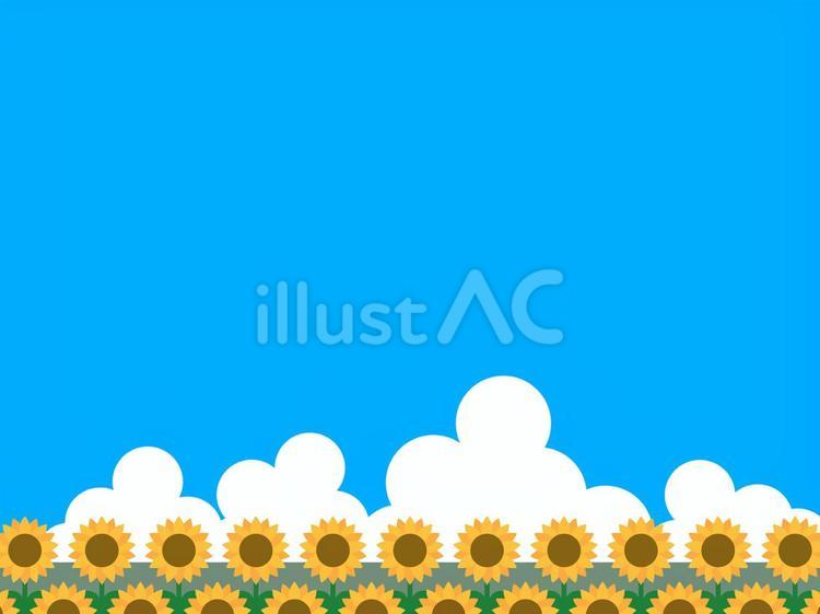 ひまわり畑 ひまわり畑,向日葵,入道雲のイラスト素材