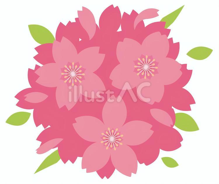 桜の花と葉01 桜,アイコン,あしらいのイラスト素材