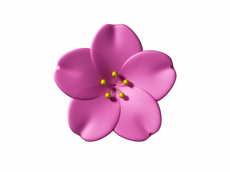 梅の花ピンク・背景透過