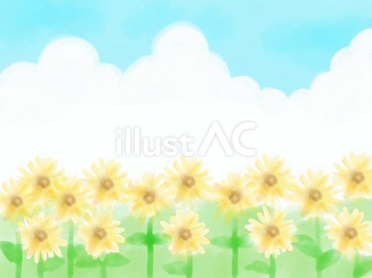 ひまわり畑 ひまわり,ひまわり畑,夏のイラスト素材