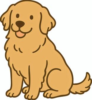 ゴールデンレトリバー ゴールデンレトリバー,犬,ドッグ,茶色,子犬,大型犬,ベクター,イラストのイラスト素材