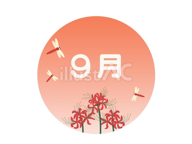 9月名タイトル　彼岸花と赤とんぼ 9月,９月,月名タイトルのイラスト素材