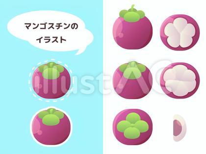マンゴスチン イラスト セット