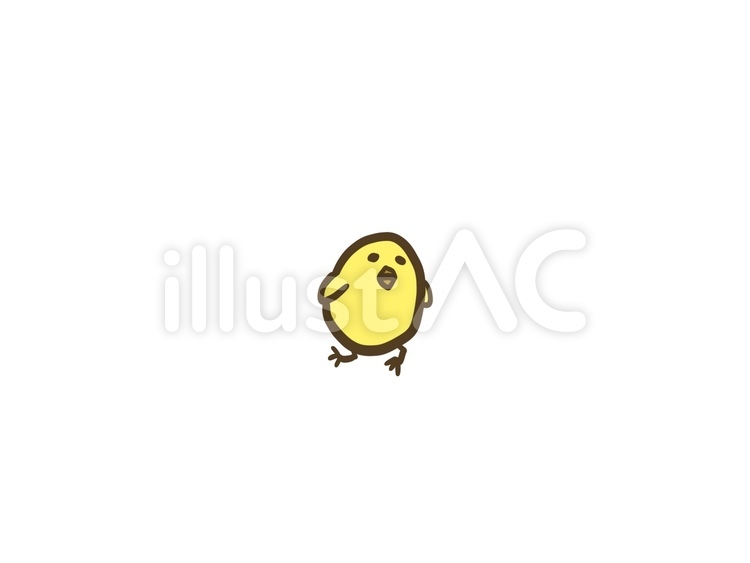 ヒヨコ ヒヨコ,単品,かわいいのイラスト素材