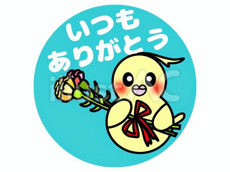 オカメインコ　ありがとう オカメインコ,鳥,動物のイラスト素材