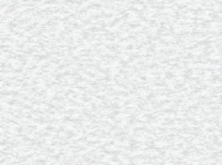 白い紙・和紙風のノイズ背景 テクスチャ,ノイズ,ざらざら,背景,壁紙,紙,和紙,白,モノクロ,グレーのイラスト素材