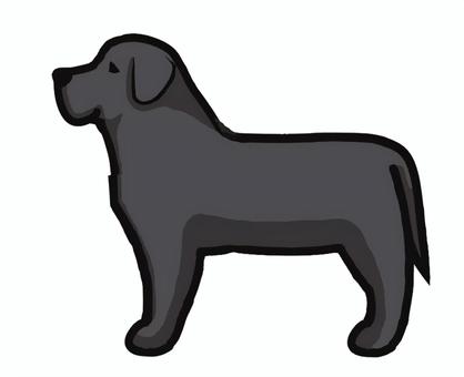 黒ラブ 黒ラブ,ラブラドール,レトリーバー,黒,犬,ペット,動物,ブラックラブラドールのイラスト素材