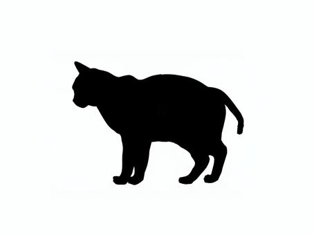 猫。。 猫,シルエット,動物,背景透過,黒猫,イラスト,素材,透過png,アイコン,ペットのイラスト素材