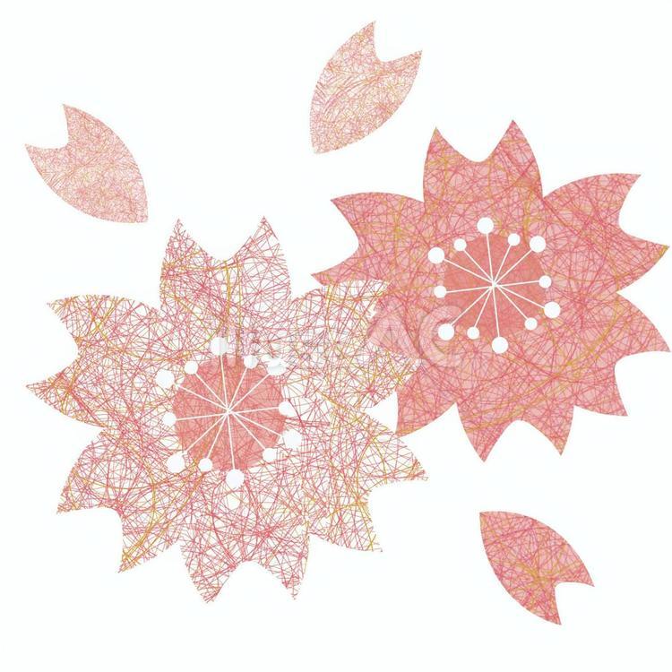 桜 桜,花,花びらのイラスト素材