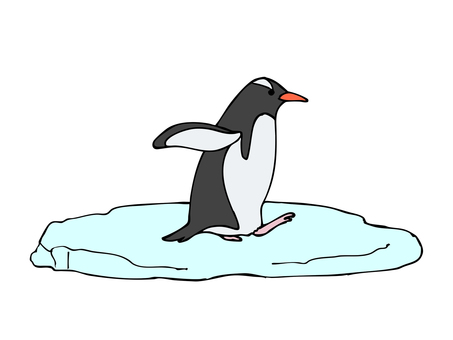 ジェンツーペンギンのイラスト