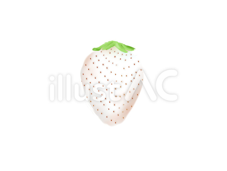白いちご いちご,野菜,新鮮のイラスト素材