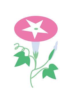 Morning glory flower, morning glory, pink, simple, JPG, PNG and EPS