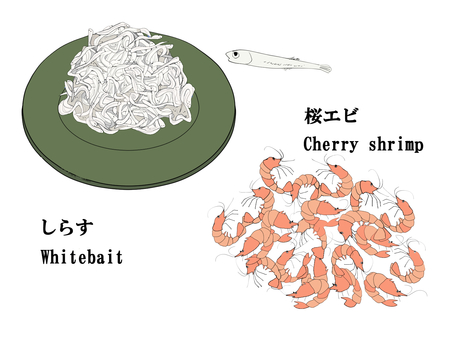 しらす　桜エビ しらす,桜エビ,稚魚,皿,盛りのイラスト素材